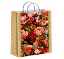 Пакет с пластиковой ручкой ЛЮКС в ассортименте