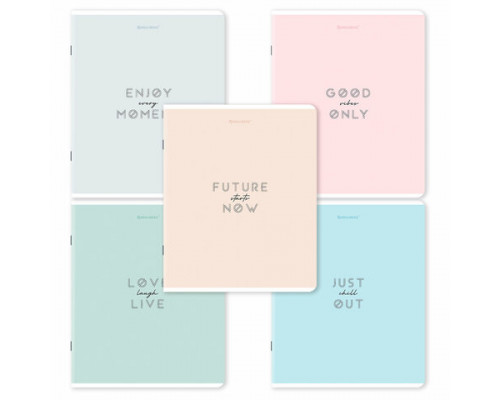 Тетрадь А5, 48 л., BRAUBERG, скоба, клетка, матовая ламинация, "Однотонный_Пастель", (микс в спайке)