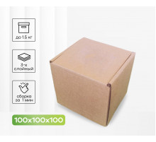 Коробка картонная самосборная 100*100*100мм СП УФА ЧЛБ НСК