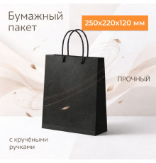 Пакет бумажный с круч. ручками 250*220*120 черный