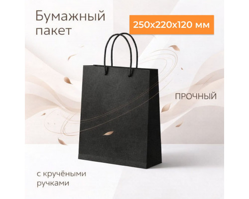 Пакет бумажный с круч. ручками 250*220*120 черный