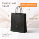 Пакет бумажный с круч. ручками 250*220*120 черный